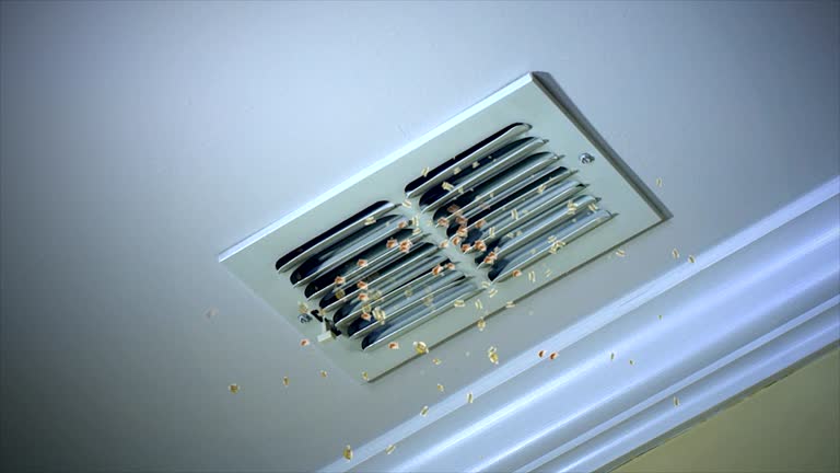 Best Air Duct Cleaning Near Me  in Forest Lake, IL